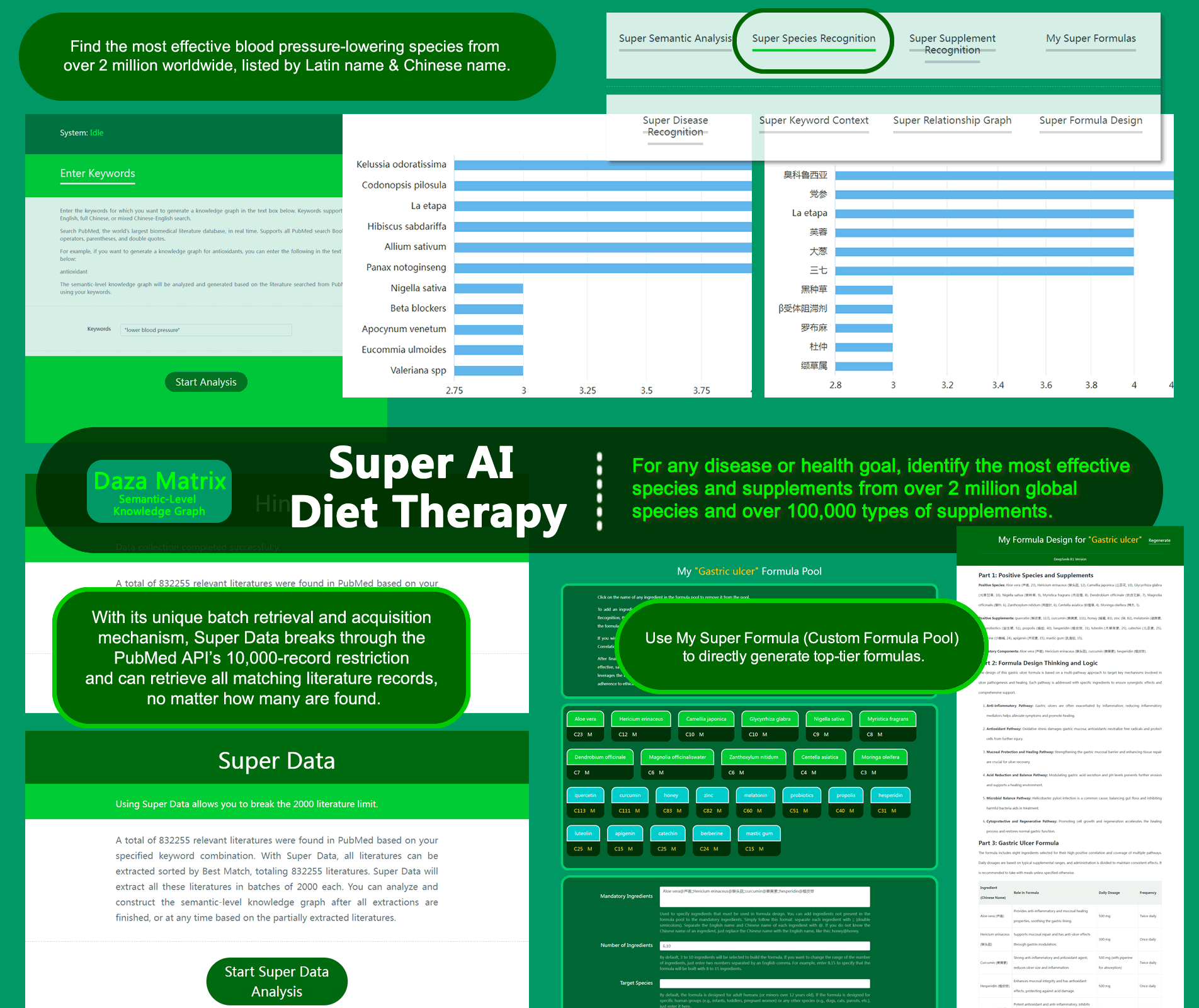 Super AI Diet Therapy